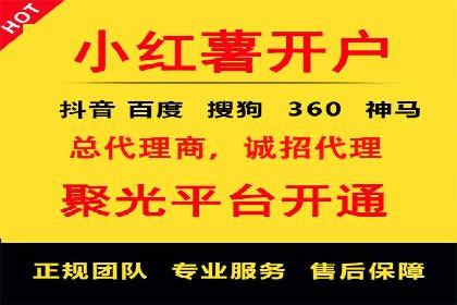 竞价广告与自然搜索的结合策略：XX网站的案例分析